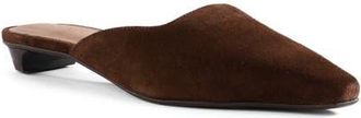 Seychelles Mocktail II Pointed Toe Mule in Dark Brown at Nordstrom, Size 6.5