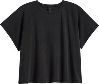 SKIMS New Vintage Cropped Raglan T-Shirt in Washed Onyx at Nordstrom, Size 4X