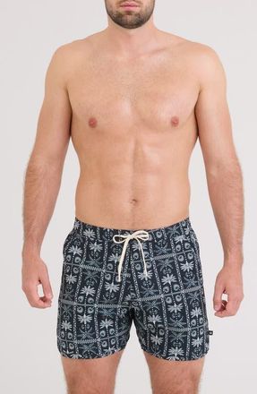 Saxx Harbormaster 2N1 5-Inch Swim Trunks in Tropic Royale-Black at Nordstrom, Size Xx-Large