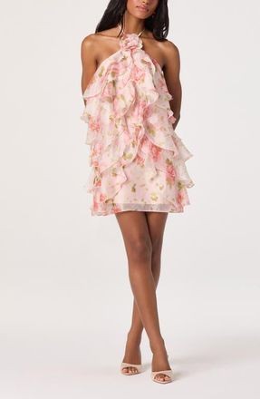 ASTR the Label Ofra Floral Halter Neck Minidress in Blush Floral at Nordstrom, Size X-Small