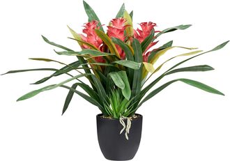 Beliani Planta Artificial En Maceta Para Interior Decoraci&oacute;n De Pl&aacute;stico Con Maceta Negra Guzmania Atilla