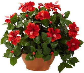 Nearly Natural Hibiscus with Clay Planter in Green/red at Nordstrom