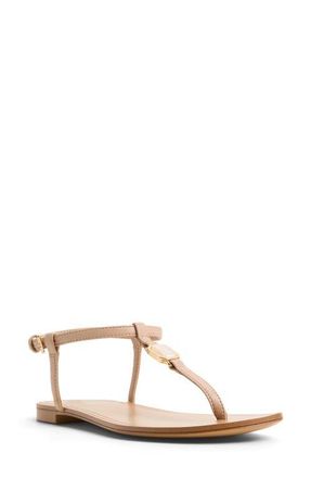 Aldo Sandstone Ankle Strap Sandal in Beige at Nordstrom, Size 6.5