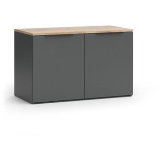 Vicco Credenza Wido, Antracite, 80 x 50 cm con 2 porte Vicco