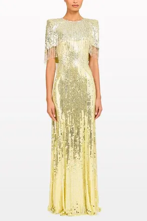 Jenny Packham Blake Sequin-Embellished Maxi Dress in Sea Horse at Nordstrom, Size 20 Uk