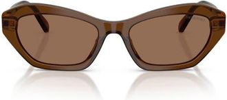 Swarovski 54mm Cat Eye Sunglasses in Transparent Brown/dark Brown at Nordstrom