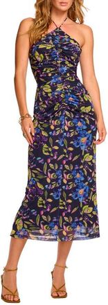 Ramy Brook Aveline Floral Halter Mesh Dress in Navy Floral Mesh at Nordstrom, Size Xx-Large