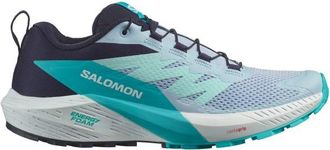 Salomon Sense Ride 5 Trailrunningschuhe für Damen | grau