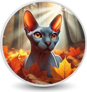 OEM Elegancia Oto&ntilde;al: La Mirada M&iacute;stica Moneda De 1 Oz