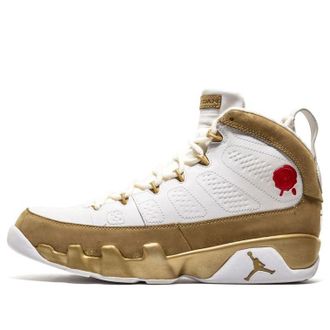 Air Jordan 9 Retro Premio Bin23 410917-101