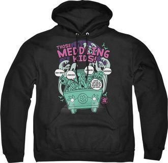Gildan Scooby Doo Meddling Since 1969 Adult Pull Over Hoodie / Hooded Sweatshirt