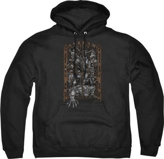 Gildan Batman Arkhams Gate Adult Pull Over Hoodie / Hooded Sweatshirt