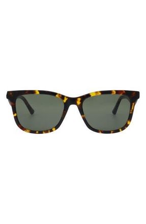 Florence By Mills 51mm Square Sunglasses in Tortoise at Nordstrom Rack