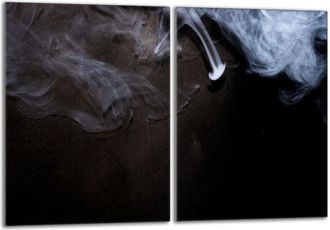 OEM Placa Protectora De Vidrio Para Estufa 2x40x52 Humo