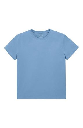 primary Adult Easy Crewneck Tee in Vintage Blue at Nordstrom, Size Xx-Large