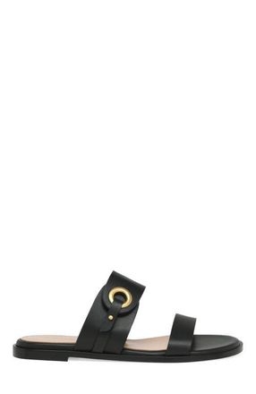 Gianvito Rossi Granada 05 Flat in Black Calf Leather at Nordstrom, Size 41.5