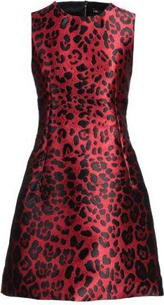 Dolce & Gabbana Mini dresses