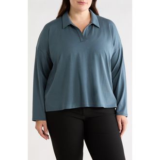 Eileen Fisher Boxy Henley Jersey Top in Eucalyptus at Nordstrom, Size 2 X