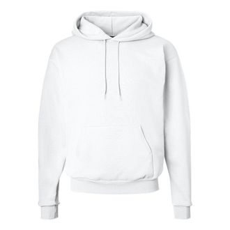 Hanes Ecosmart Hooded Sweatshirt