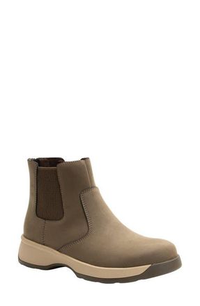Alegria By Pg Lite Chelsea Boot in Driftwood at Nordstrom, Size 12Us