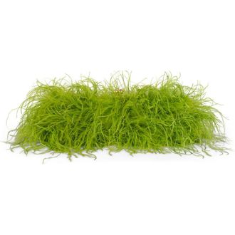 Jeffrey Campbell Animal Feather Clutch in Green Combo at Nordstrom