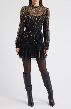 Farm Rio Embroidered Tulle Overlay Minidress in Black at Nordstrom, Size Medium