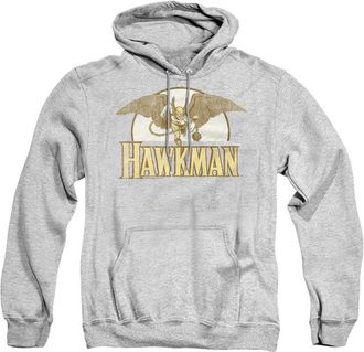 Gildan DC Comics Fly By Adult Pull Over Hoodie / Hooded Sweatshirt