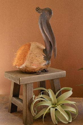 Kalalou Coco Pelican Sitting
