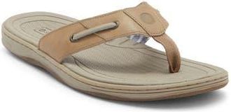 Sperry Top-Sider Baitfish Flip Flop in Medium Beige at Nordstrom Rack, Size 10