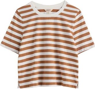 Seasalt Cornwall Copseland Stripe Organic Cotton T-Shirt in Scallion Chalk Basket at Nordstrom, Size 12 Us