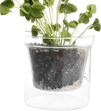 OEM Maceta Transparente - Maceta De Doble Pared - Cuidado De Plantas - Dep&oacute;sito De Agua Integrado - 13 X 13 X 13 Cm - Transparente