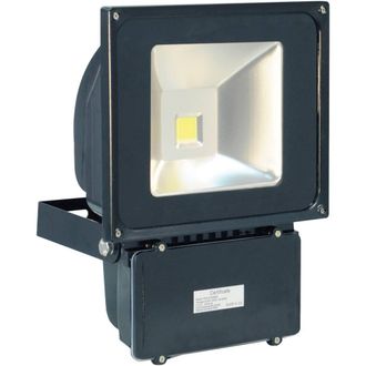 Eagle 70W Led Flood Light in Black