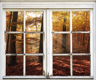 Queence Wandsticker »Wald« Wandsticker, Wandbild, selbstklebend, 3D, Fenster