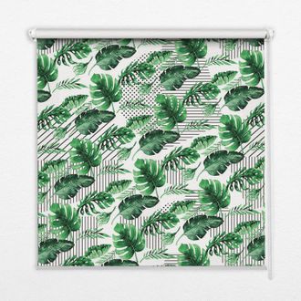 Tulup Tenda A Rullo Interna Per Finestra - Tenda Filtrante Luce - Tenda Privacy - Tenda Decorativa Rettangolare - Rullo Per Interni - (150 Cm X 140 Cm) - Fo