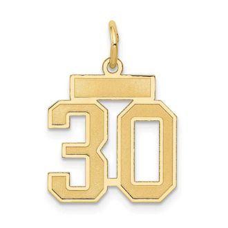 Diamond2Deal 14k Yellow Gold Small Satin Number Charm Pendant