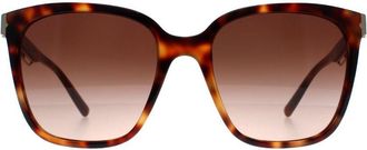 Bulgari Square Womens Havana Brown Gradient BV8245 - One Size