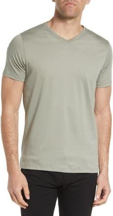 Robert Barakett Georgia Regular Fit V-Neck T-Shirt in Dried Sage at Nordstrom Rack, Size X-Large