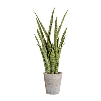 Schubiger M&ouml;bel Kunstpflanze Sanservieria Gr&uuml;n