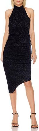 Badgley Mischka Stretch Lace Asymmetric Body-Con Cocktail Dress in Black at Nordstrom, Size 10