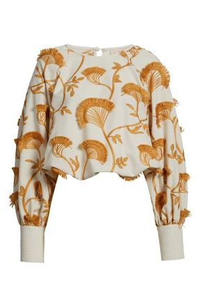 Ciebon Lenny Embroidered Long Sleeve Crop Top in White Multi at Nordstrom, Size Medium