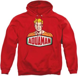 Gildan DC Comics Aquaman Sign Adult Pull Over Hoodie / Hooded Sweatshirt