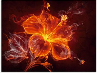 Artland Glasbild »Feuerblume« Blumen 1 Stk. tlg. in verschiedenen Grössen