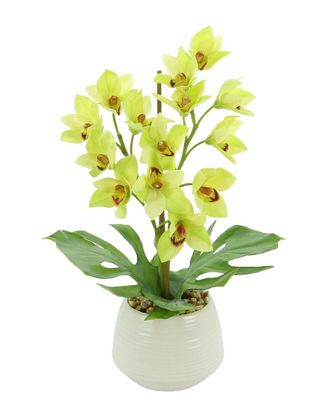 Creative Displays Inc. Green Orchid Floral Arrangement