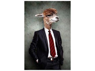 Schubiger M&ouml;bel Digitaldruck auf Glas Lama im Anzug