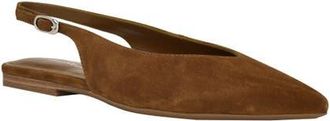 Calvin Klein Galiana Slingback Pointed Toe Flat in Dark Natural 122 at Nordstrom, Size 8