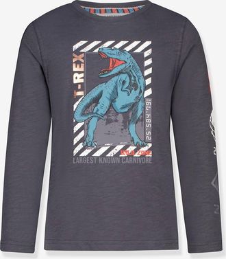 Salt And Pepper Langarmshirt T-Rex-Print Jungen SALT AND PEPPER anthrazit