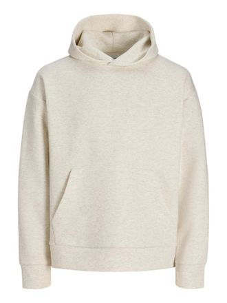 Jack & Jones Jack & Jones hoodie