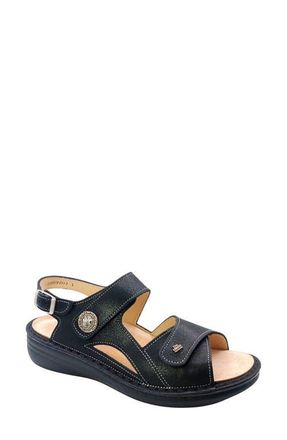 Finn Comfort Barbuda Ankle Strap Slide Sandal in Black Brina at Nordstrom, Size 12-12.5Us
