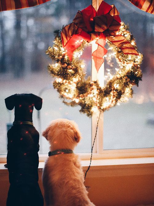 Psychologists say this about those who decorate early for Christmas