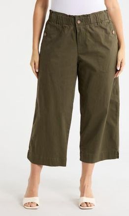 Democracy Button Pocket Crop Wide Leg Pants in Caper at Nordstrom Rack, Size 20W